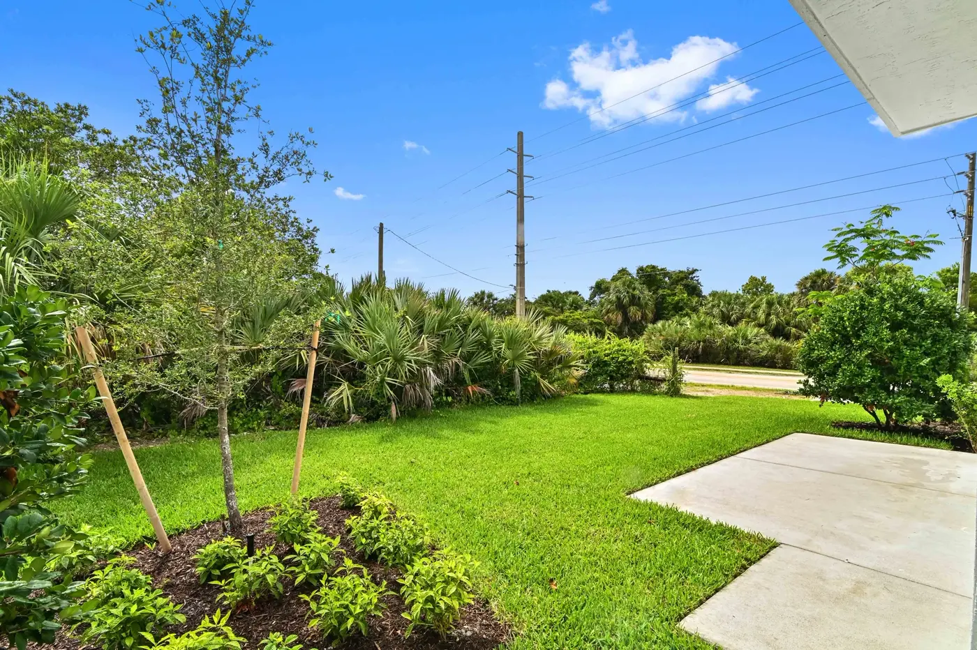 Private backyard with patio